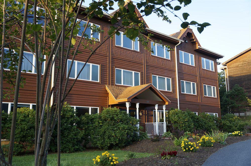Art Of Living Retreat Center Hotel Bamboo Kültér fotó
